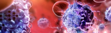 Un “profilo Instagram” del sistema immunitario per trattare il cancro